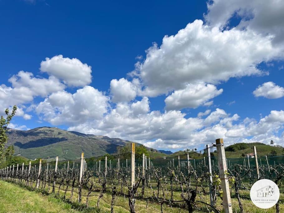 Bigolino Casa L'Arte Della Vignaヴィラ エクステリア 写真