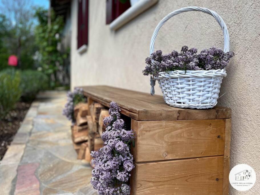 Bigolino Casa L'Arte Della Vignaヴィラ エクステリア 写真